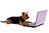 Email dog icon