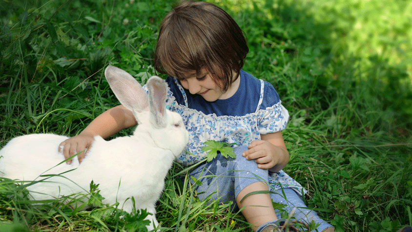 Rabbit with little girl in a grass patch